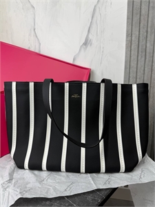 Сумка Schiaparelli 164174