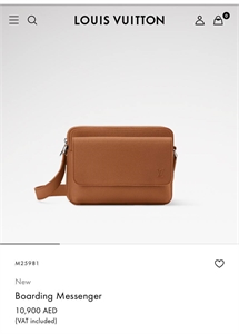 Сумка LV 164569