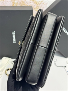 Сумка CHANEL Кожа ягненка 164643