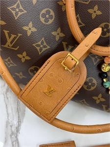 Сумка LOUIS VUITTON 164758