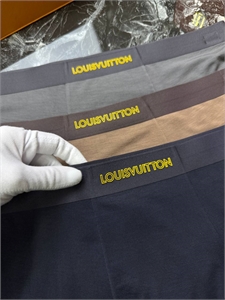 Нижнее бельё LV ( трусы) 165022