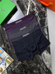 Нижнее бельё PRADA( трусы) 165023