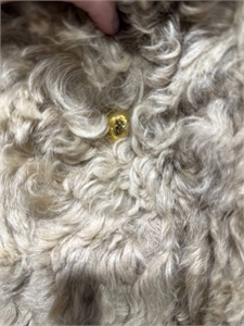 Шуба FENDI 165196