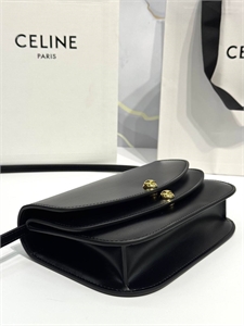Сумка CELINE 165546