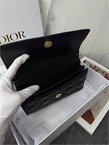 Сумка DIOR 166052