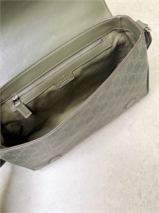 Сумка GUCCI 166236