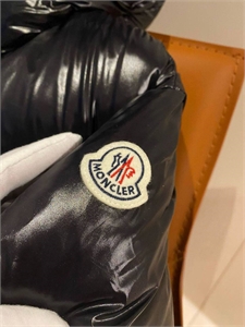 Пуховик MONCLER 166237
