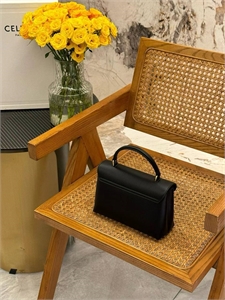 Сумка CELINE 114372