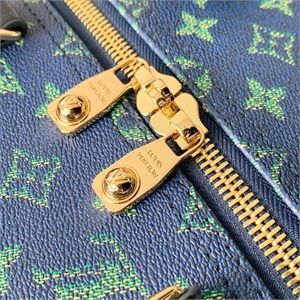 Дорожная сумка LV 166366