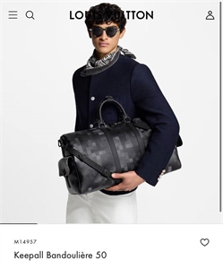 Дорожная сумка LV 166367