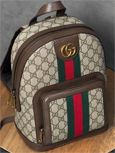 Рюкзак GUCCI 166409
