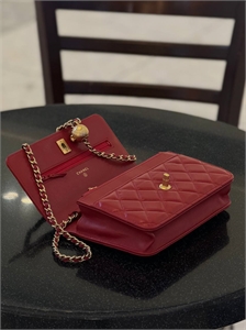 Сумка CHANEL 166436