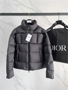Пуховик DIOR 166466