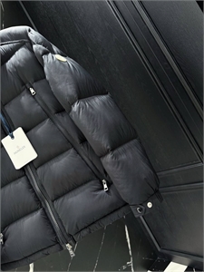 Пуховик MONCLER 166470