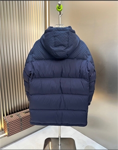 Куртка LV 166506