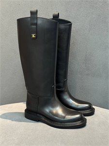 Сапоги CELINE 166614