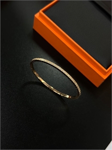 Серьги HERMES 166618