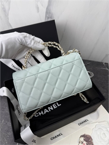 Сумка CHANEL 166925