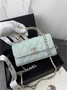 Сумка CHANEL 166925