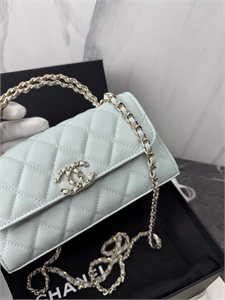 Сумка CHANEL 166925