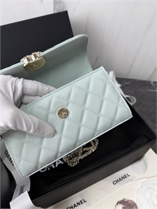 Сумка CHANEL 166925