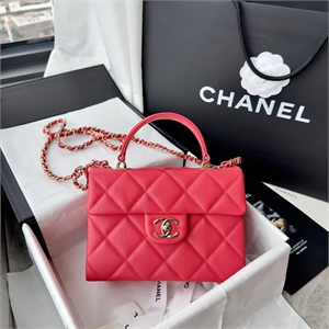 Сумка CHANEL 167016