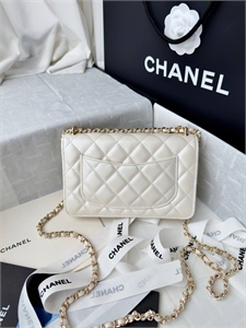 Сумка CHANEL 167018