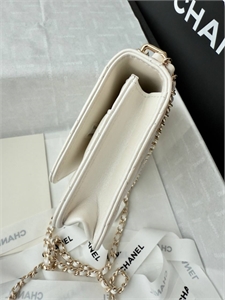 Сумка CHANEL 167018