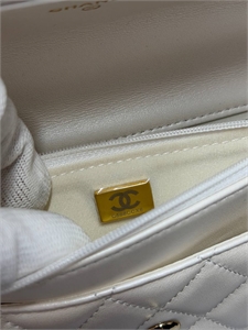 Сумка CHANEL 167347