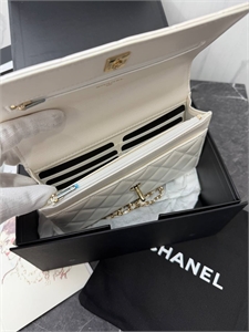 Сумка CHANEL 167347