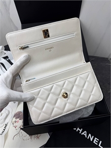 Сумка CHANEL 167347