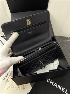 Сумка CHANEL 167356