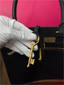 Сумка Schiaparelli 168179