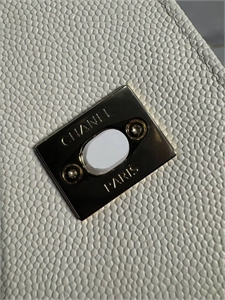 Сумка CHANEL 168391