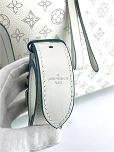 Сумка LOUIS VUITTON 168924