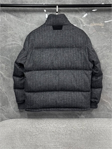 Пуховик BERLUTI 168999