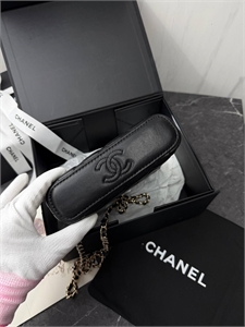 Сумка CHANEL 169254