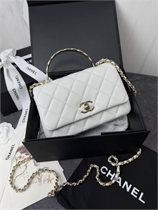 Сумка CHANEL 169257