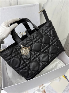 Сумка DIOR 169441