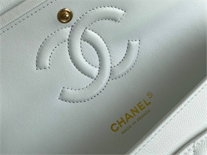 Сумка CHANEL 169511