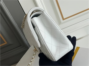 Сумка CHANEL 169511