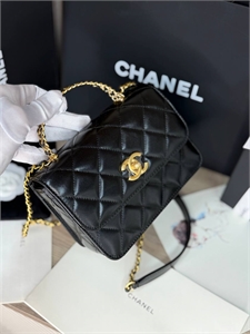 Сумка CHANEL 169516