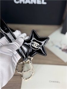 Сумка CHANEL 169520