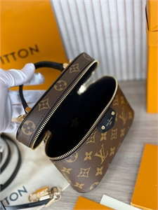 Сумка LOUIS VUITTON 169536