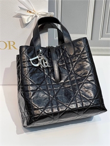 Сумка DIOR 169762