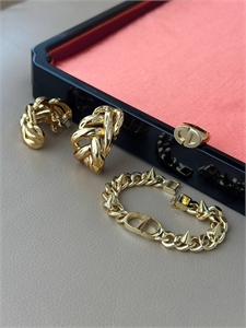 Серьги YSL 169887