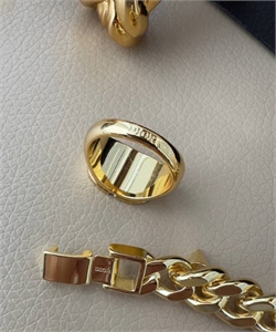 Серьги YSL 169887