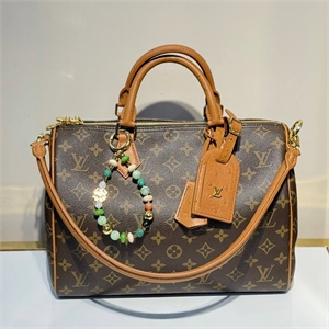 Сумка LOUIS VUITTON 169920