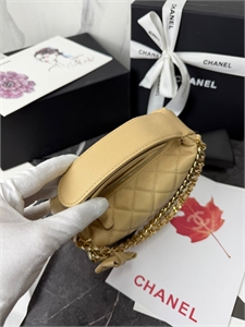 Сумка CHANEL 170081