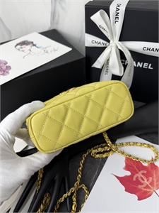 Сумка CHANEL 170096